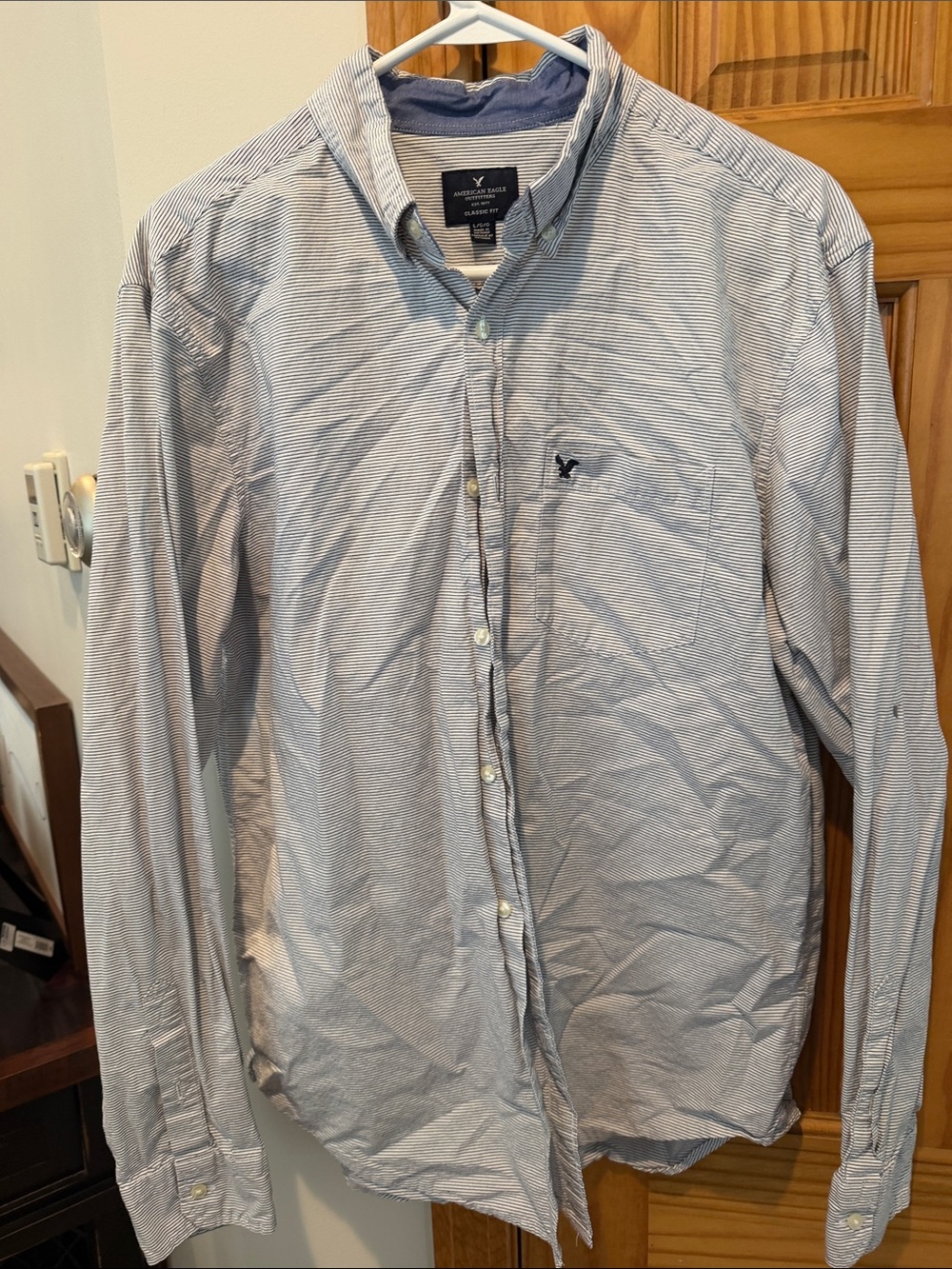 American Eagle Outfitters Blue and White Micro-Striped Button-Down Shirt